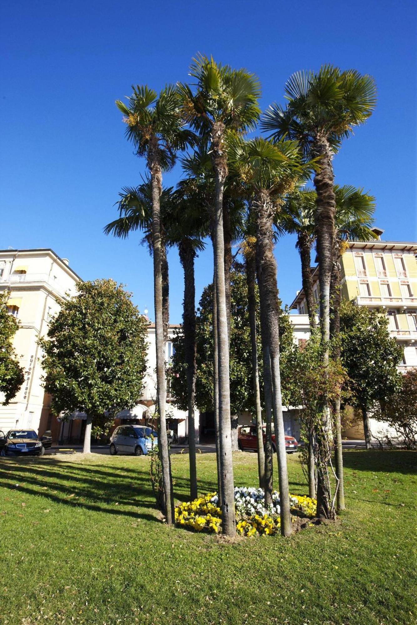 Appartamenti Lungolago Verbania Exterior photo